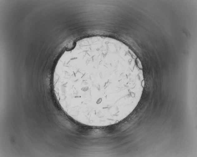 X0000110320111200907021210