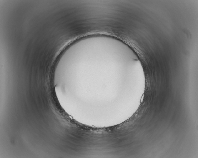 X0000110320112200907021210