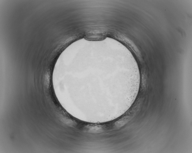 X0000110320113200907021210