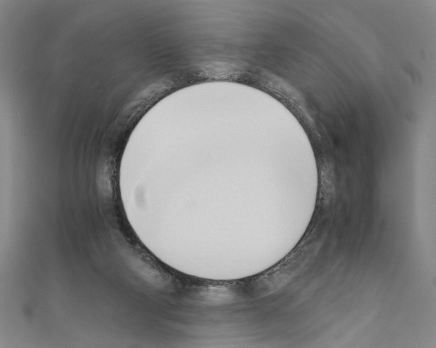 X0000110320114200907021210