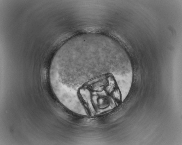 X0000110320117200907021210