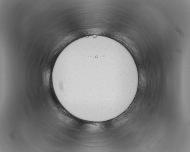 X0000110320118200907021210