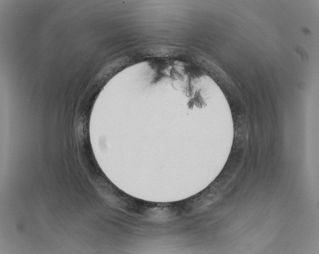 X0000110320119200907021210