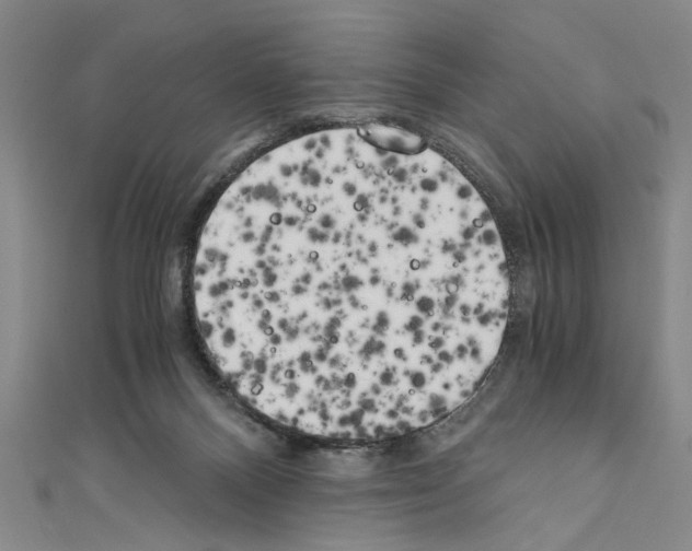 X0000110320120200907021210