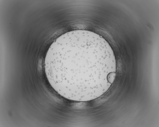 X0000110320122200907021210