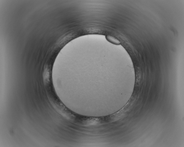 X0000110320124200907021210