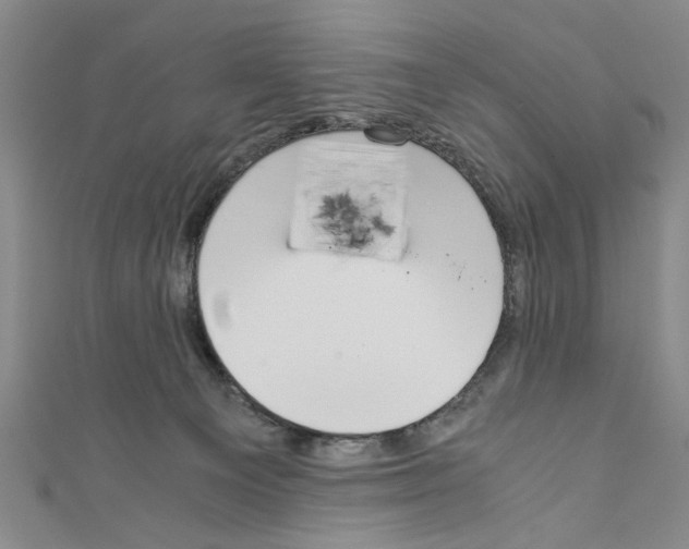 X0000110320129200907021209