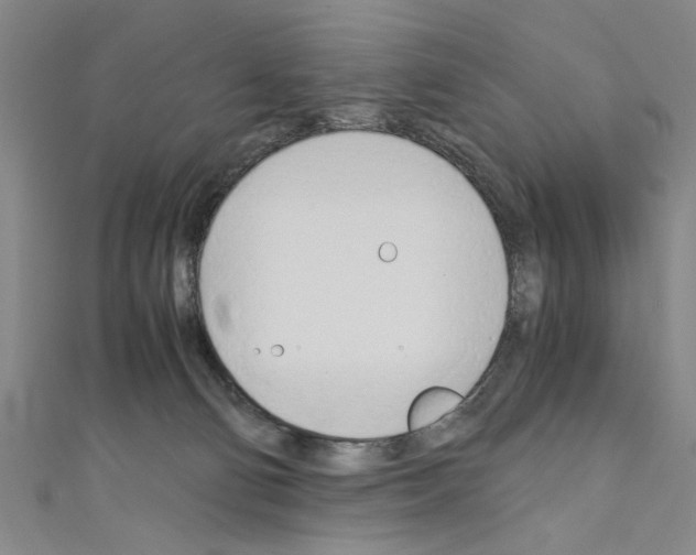 X0000110320130200907021209