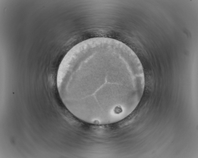 X0000110320131200907021209