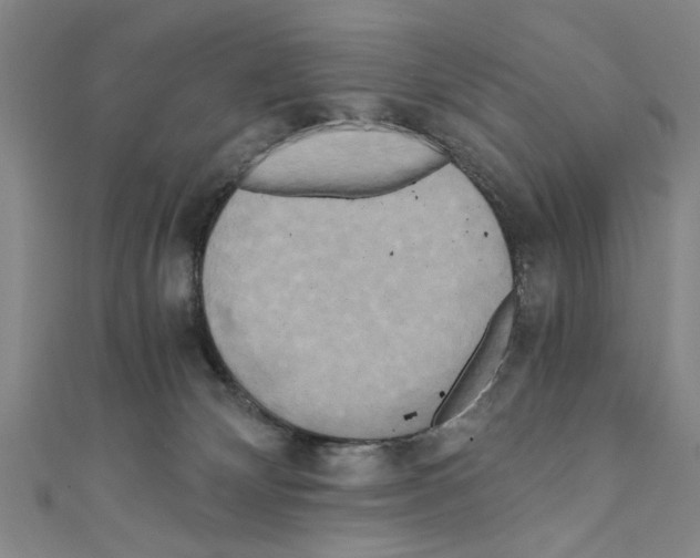 X0000110320132200907021209