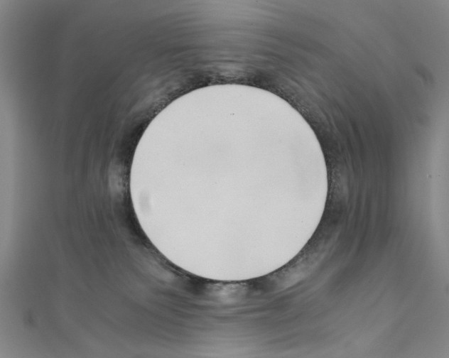 X0000110320135200907021209