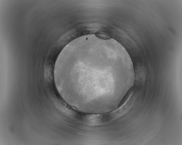 X0000110320136200907021209