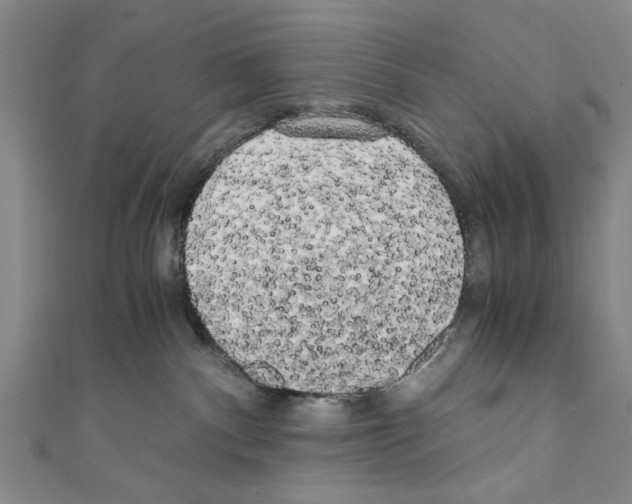 X0000110320140200907021209