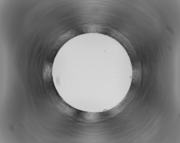 X0000110320142200907021209