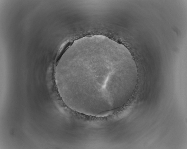 X0000110320144200907021209