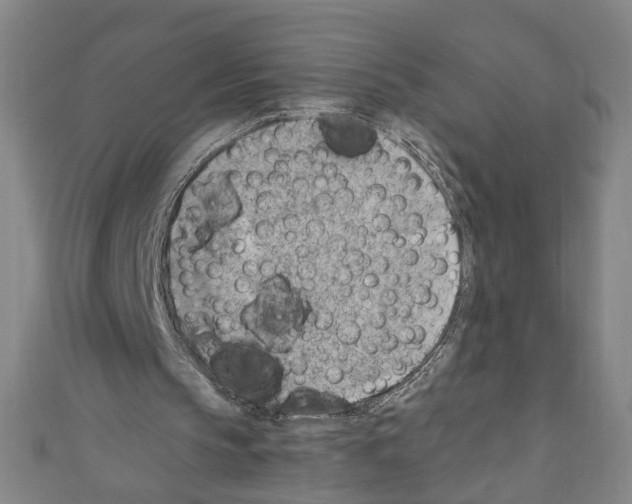 X0000110320145200907021209