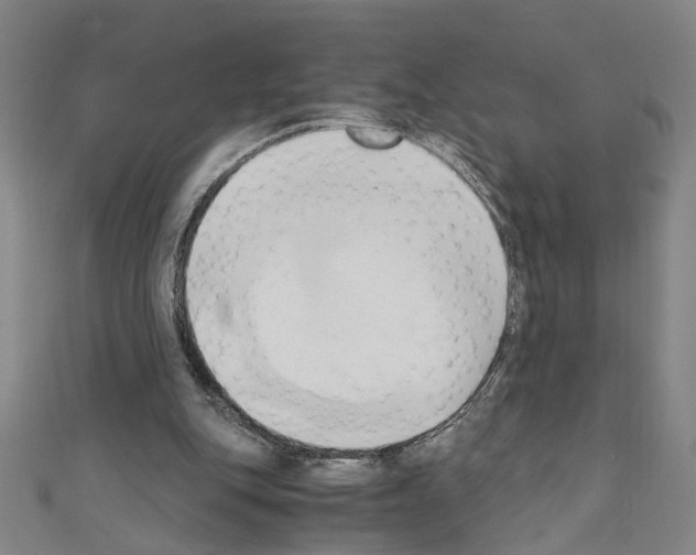 X0000110320151200907021209