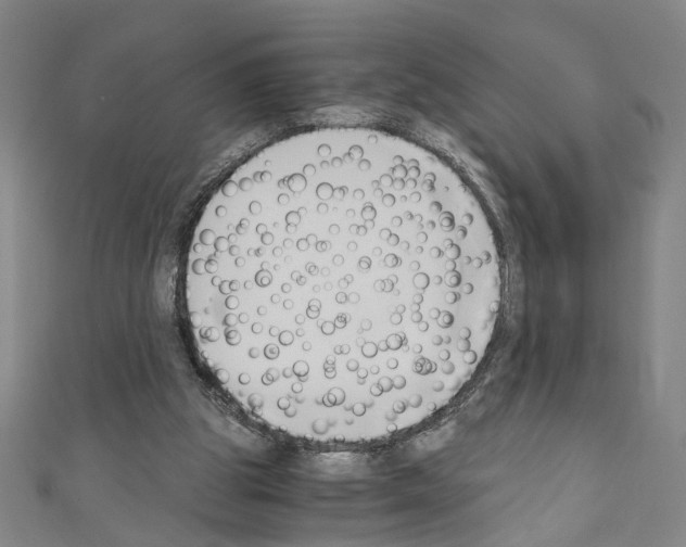 X0000110320153200907021209