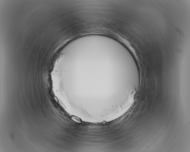 X0000110320154200907021209