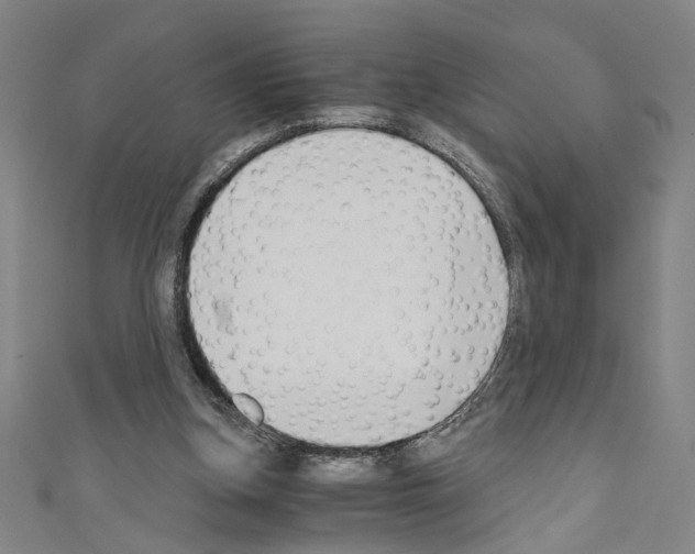 X0000110320155200907021209