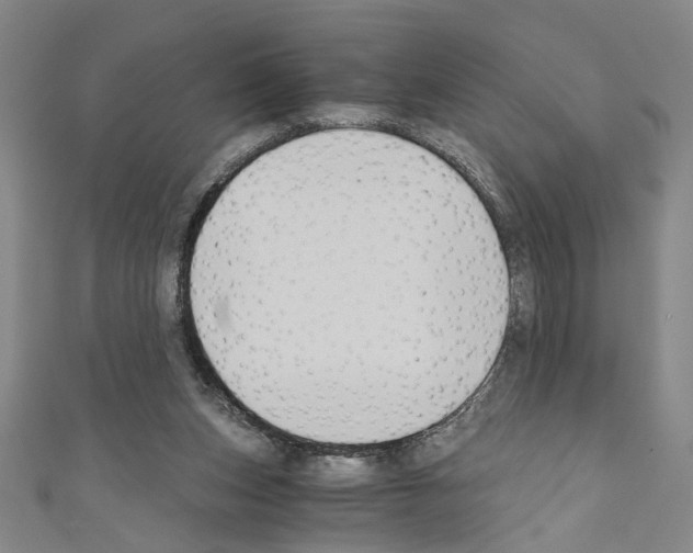 X0000110320159200907021209