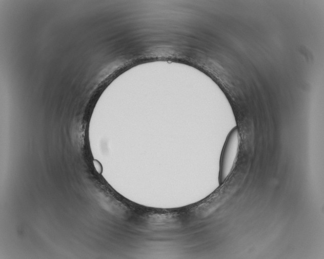 X0000110320160200907021209