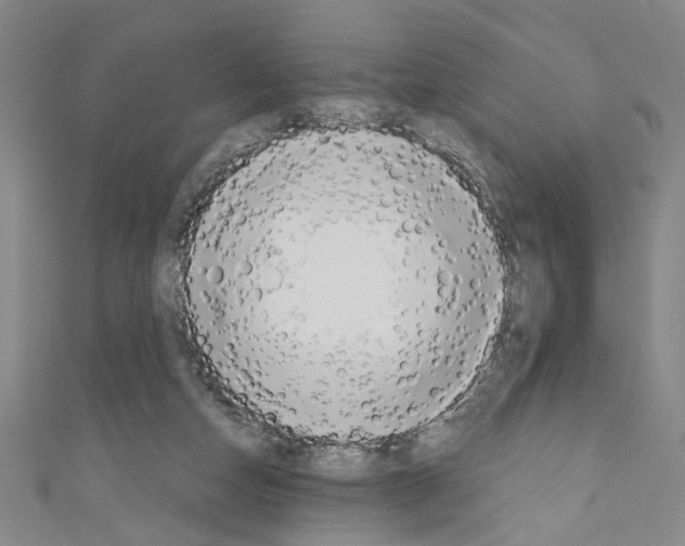 X0000110320162200907021209