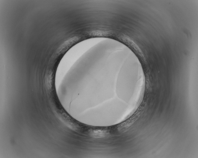 X0000110320163200907021209