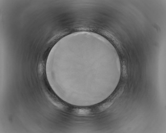 X0000110320165200907021209