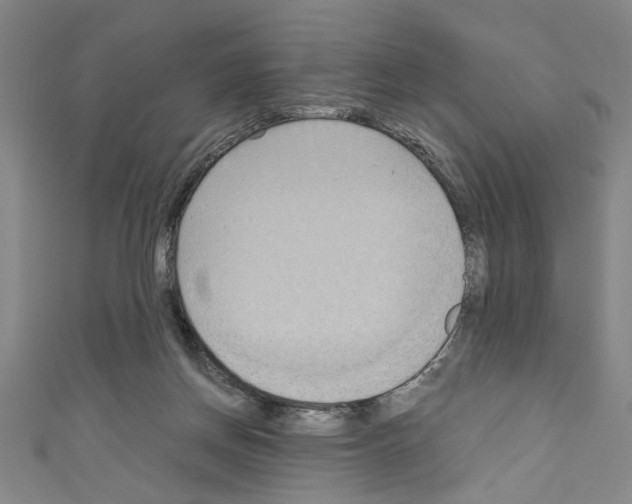 X0000110320166200907021209