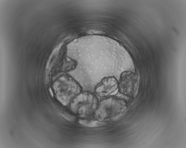 X0000110320169200907021209