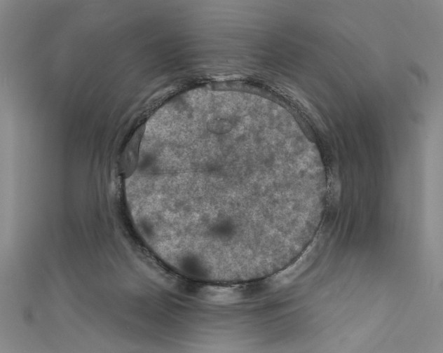 X0000110320170200907021209