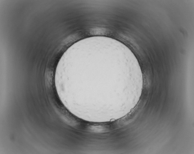 X0000110320171200907021209