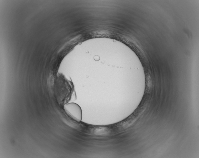 X0000110320173200907021209