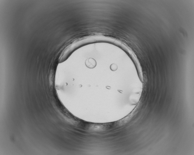 X0000110320174200907021209