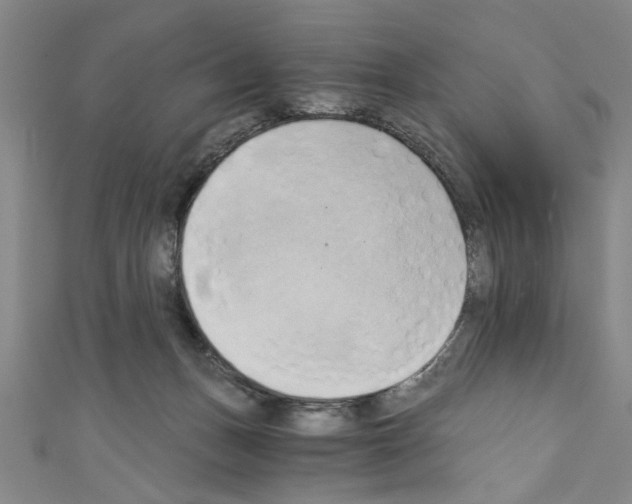 X0000110320175200907021209