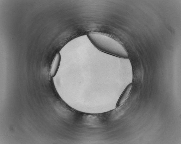 X0000110320180200907021209