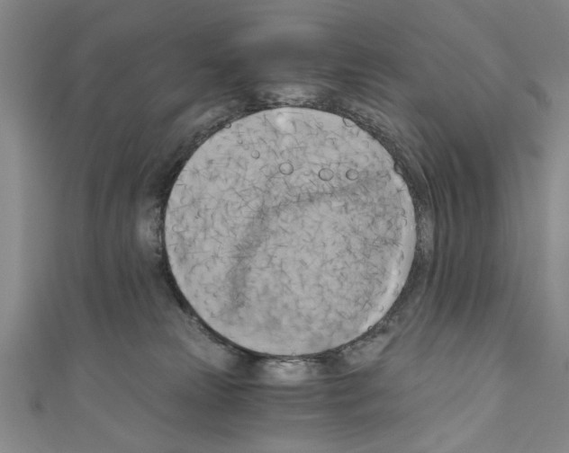 X0000110320181200907021209