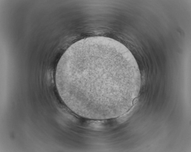 X0000110320182200907021209