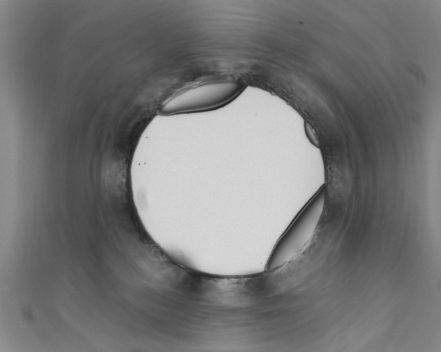 X0000110320184200907021209