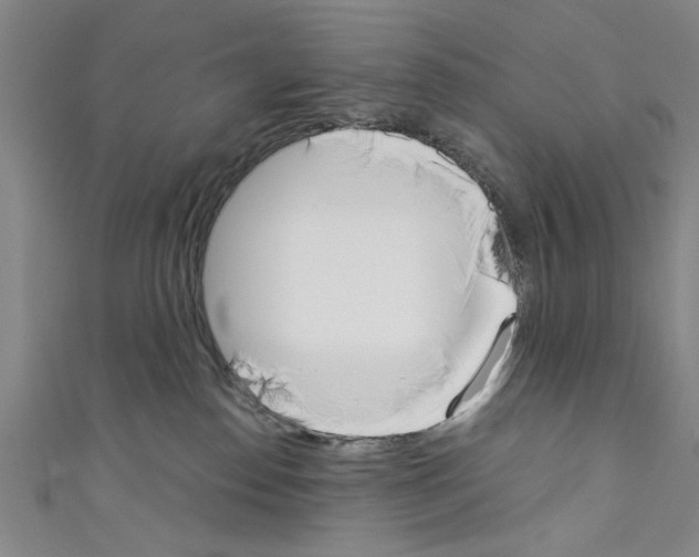 X0000110320186200907021209