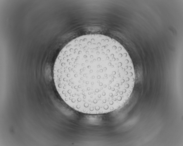 X0000110320187200907021209