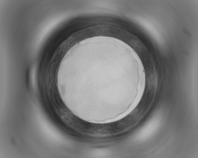 X0000110320189200907021209