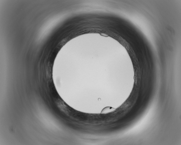 X0000110320190200907021209