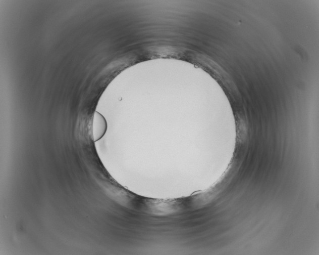 X0000110320191200907021209