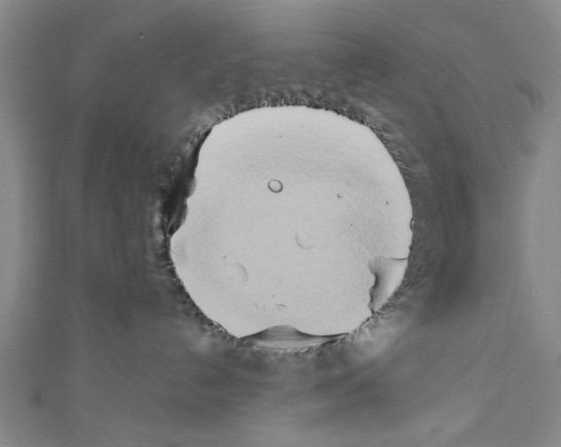 X0000110320192200907021209