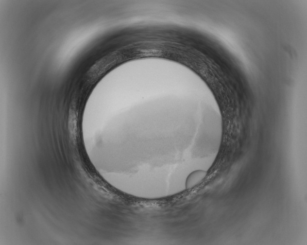 X0000110320194200907021209