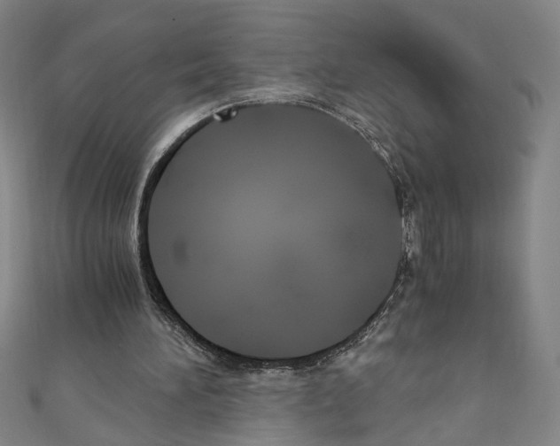 X0000110320196200907021209