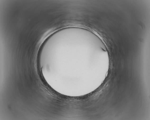 X0000110320199200907021209