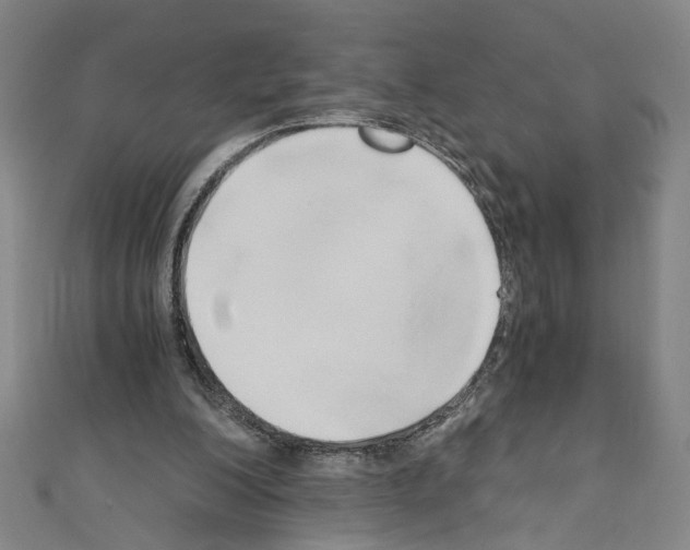 X0000110320200200907021209